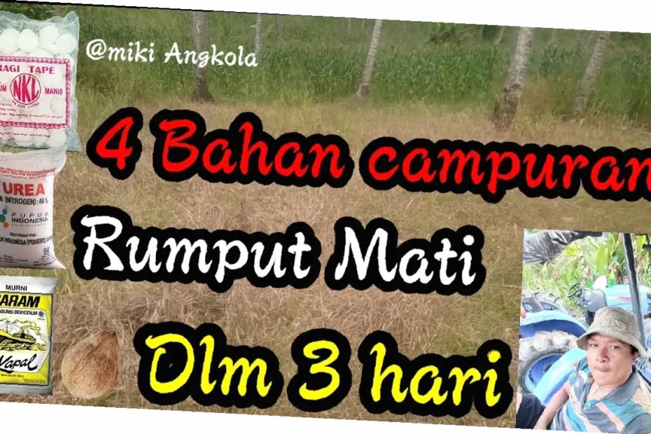 cara buat racun rumput diy