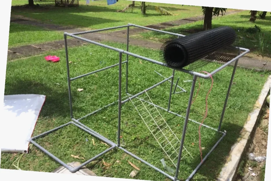 cara buat sangkar kucing diy