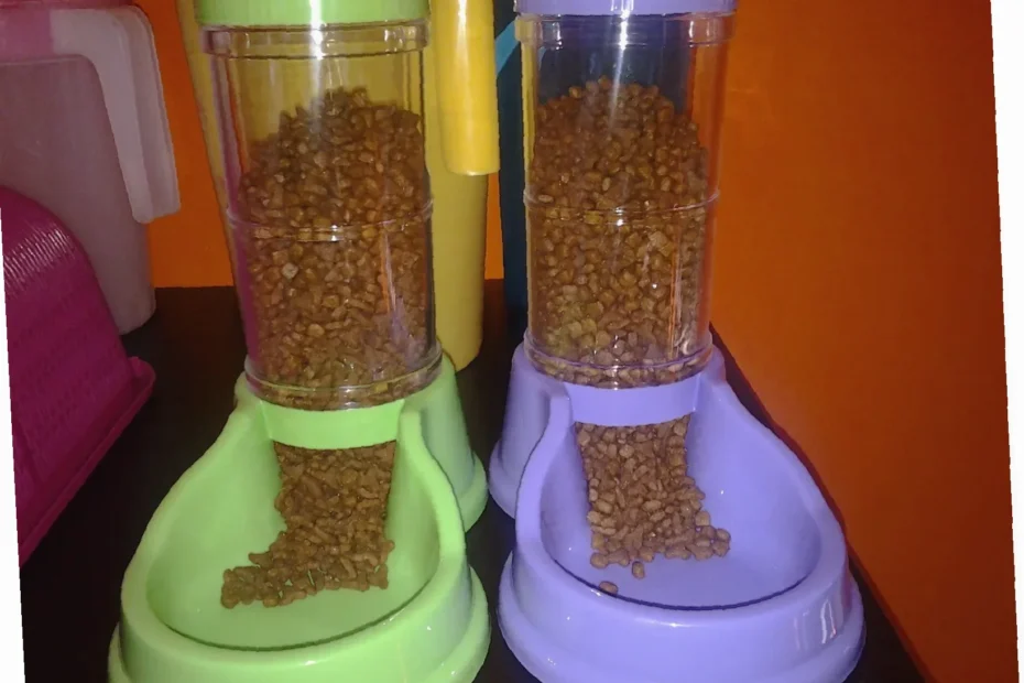 cara diy bekas makanan kucing