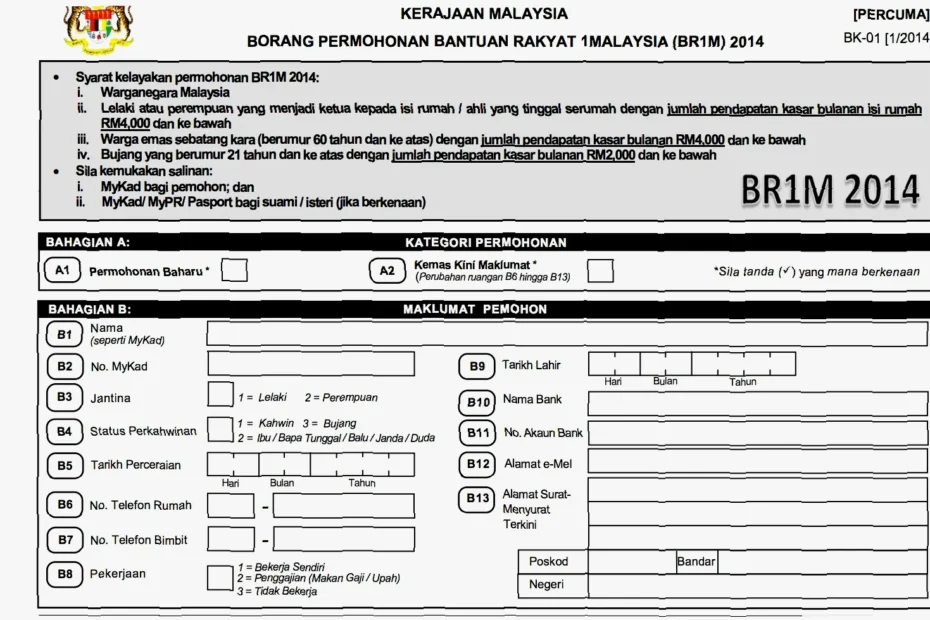 cara isi borang diy