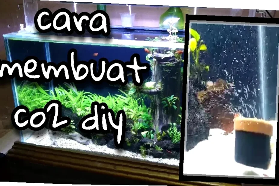 cara membuat co2 diy