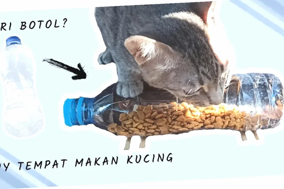 cara membuat diy bekas makanan kucing