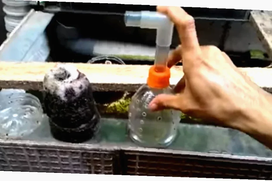 cara membuat penapis air diy