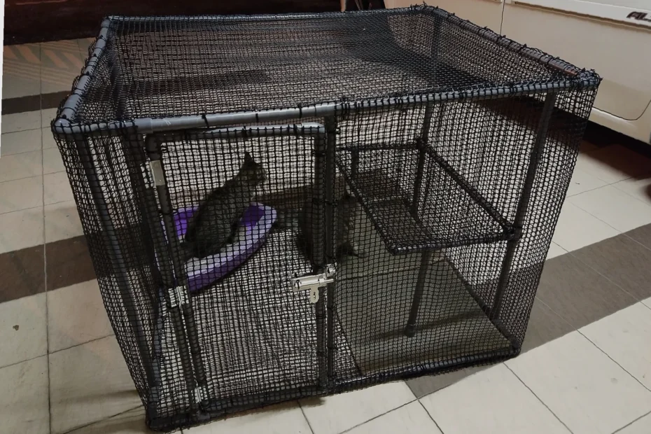 diy cara buat sangkar kucing pvc